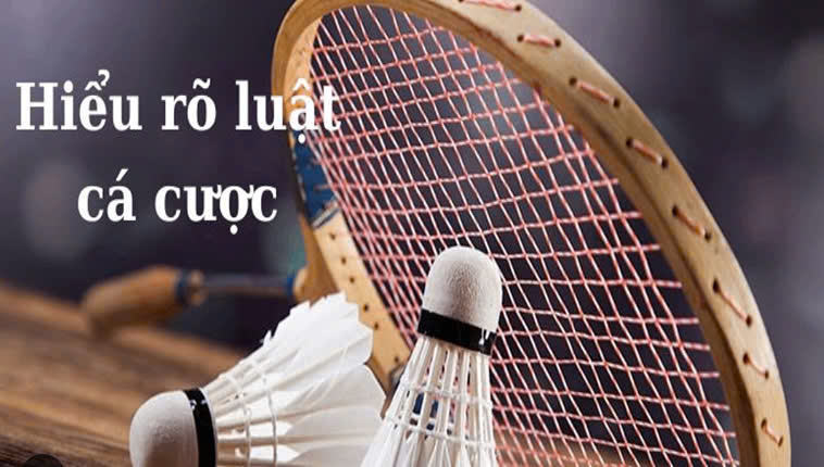 Cơn Sốt Cá Cược Cầu Lông Tại VIN777: Bí Kíp Thắng Lớn Đã Lộ!